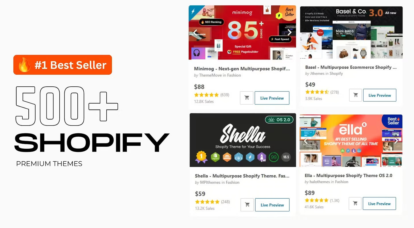 500+ Shopify theme